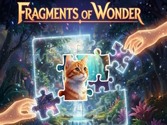 Spel Fragments of Wonder