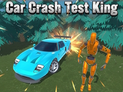 Spel Car Crash Test King