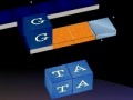 Spel WordKnot