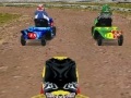 Spel Lawnmower Racing 3D