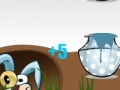 Spel Crazy Rabbit Contest