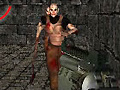 Spel 13 More Days in Hell
