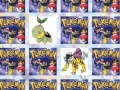 Spel Find your cards with your favorite Pokemon