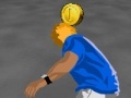 Spel Skate Velocity 3D