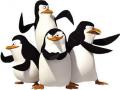 Penguins i Madagaskar spel 